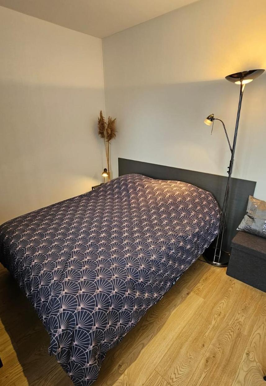 Studio Les Deux Grenouilles 5Mn De Colmar Herrlisheim-près-Colmar Εξωτερικό φωτογραφία